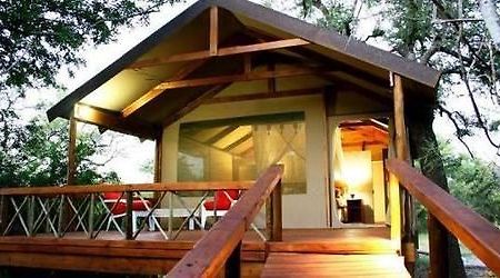 Lion Tree Top Lodge Hoedspruit Luaran gambar