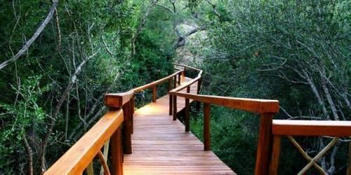 Lion Tree Top Lodge Hoedspruit Luaran gambar