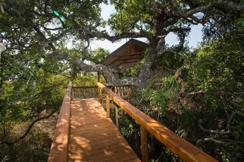 Lion Tree Top Lodge Hoedspruit Luaran gambar